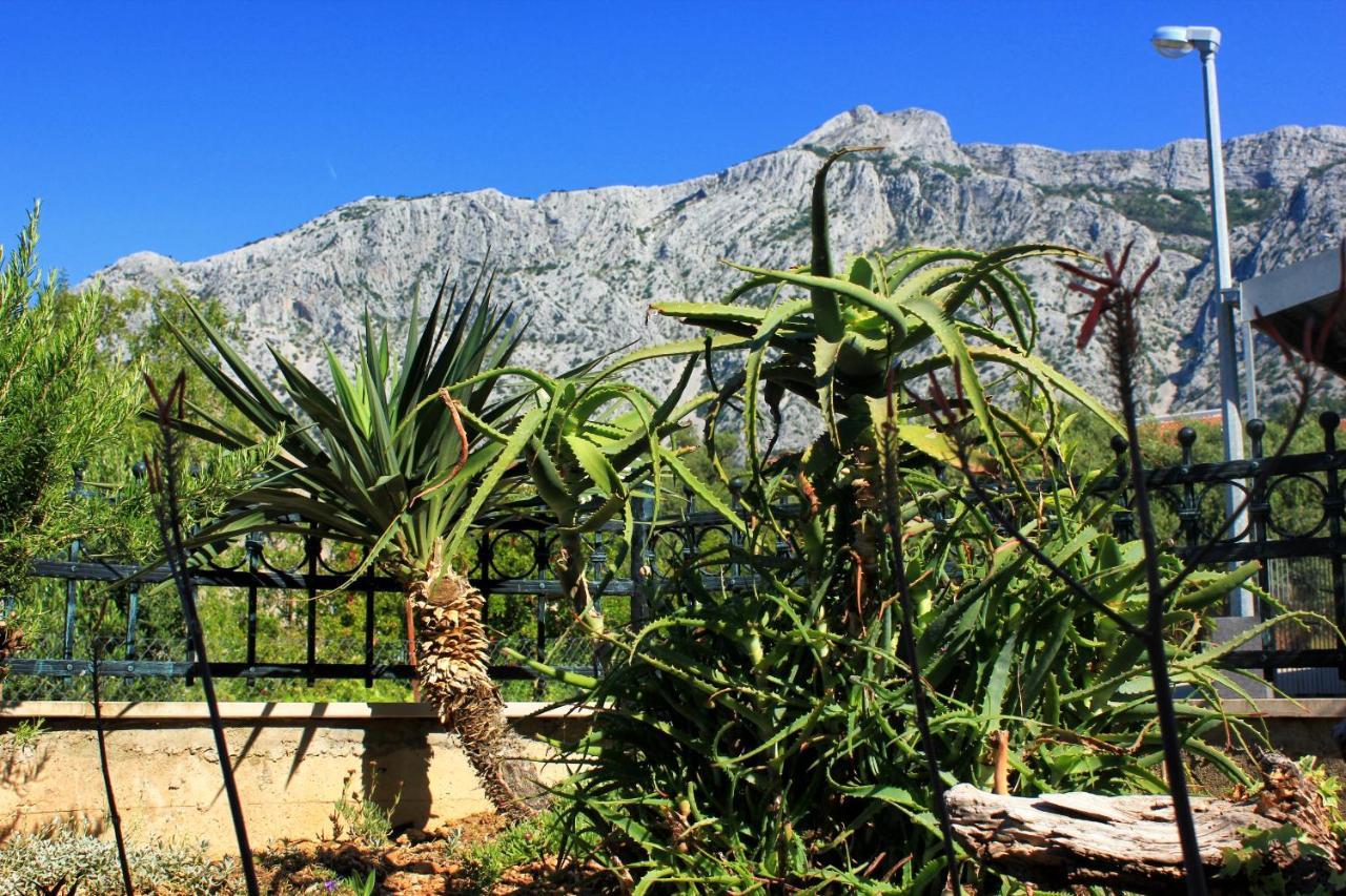 Apartments With A Parking Space Orebic, Peljesac - 10157 Esterno foto